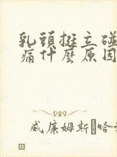 乳头挺立碰了疼痛什么原因