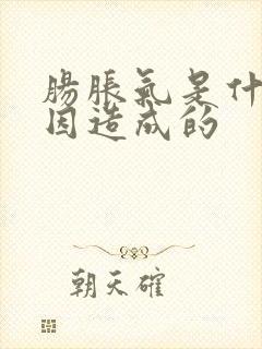 肠胀气是什么原因造成的封面