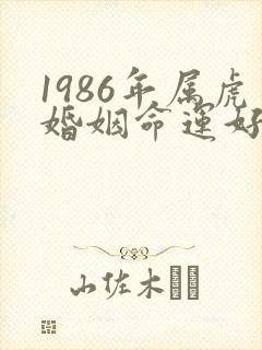 1986年属虎婚姻命运好不好