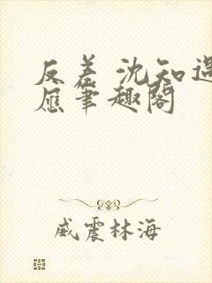 反差 沈知遇晏应笔趣阁封面