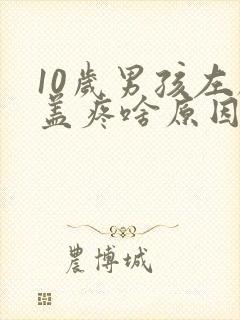 10岁男孩左膝盖疼啥原因