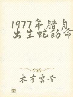 1977年腊月出生蛇的命运