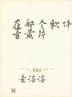 在哪个软件可以看黄片