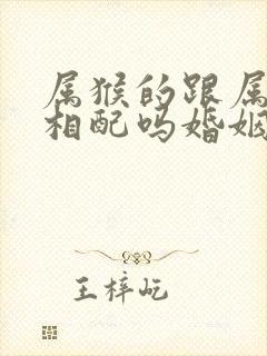 属猴的跟属狗的相配吗婚姻