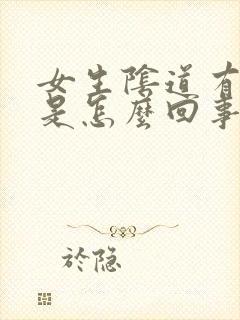 女生阴道有臭味是怎么回事