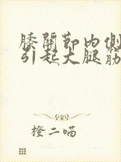 膝关节内侧疼痛引起大腿筋疼