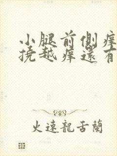 小腿前侧痒痒越挠越痒还有疙瘩