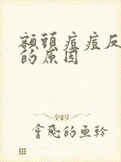 额头痘痘反复长的原因