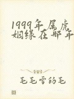 1999年属虎姻缘在哪年最旺盛