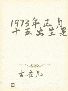 1973年正月十五出生是什么命