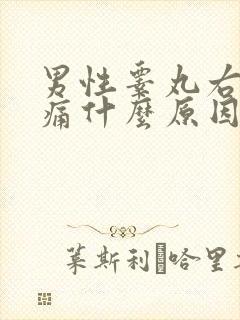 男性睾丸右边疼痛什么原因封面