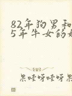 82年狗男和85年牛女的婚姻