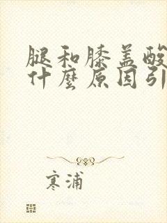 腿和膝盖酸痛是什么原因引起的