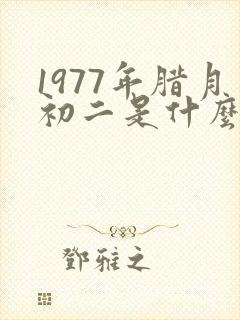 1977年腊月初二是什么命封面