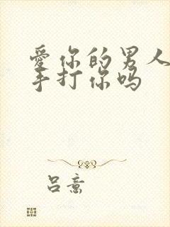 爱你的男人会动手打你吗封面