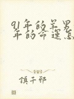 91年的羊男今年的命运怎么样封面