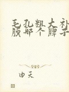 毛孔粗大补水面膜哪个牌子好