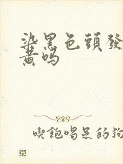 染黑色头发会变黄吗封面