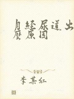 月经尿道出血什么原因