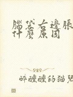 脑袋右边胀痛是什么原因