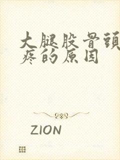 大腿股骨头部位疼的原因