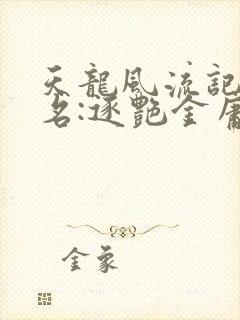 天龙风流记(又名:逐艳金庸群芳)小说封面