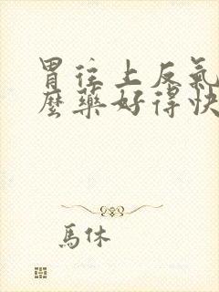 胃往上反气吃什么药好得快