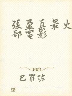 张盈真最火的三部电影封面