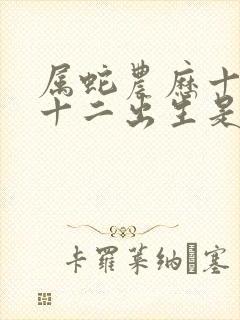 属蛇农历十一月十二出生是什么命