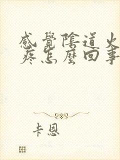 感觉阴道火辣辣疼怎么回事