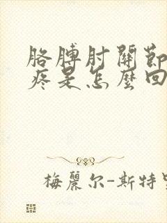 胳膊肘关节上面疼是怎么回事