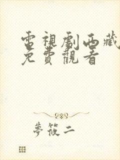 电视剧西藏秘密免费观看封面