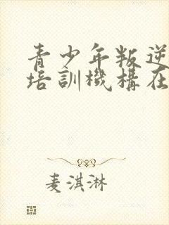 青少年叛逆管教培训机构在哪里