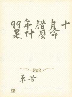 99年腊月十八是什么命封面