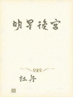 明星后宫