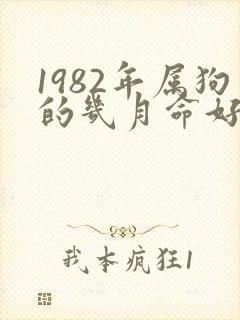1982年属狗的几月命好