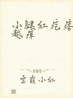 小腿红疙瘩越抓越痒封面