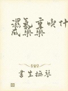 湿气重吃什么中成药药