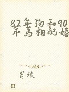 82年狗和90年马相配婚姻如何封面