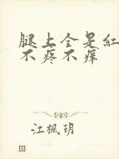 腿上全是红点点不疼不痒