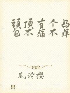 头顶有个凸起的包不痛不痒