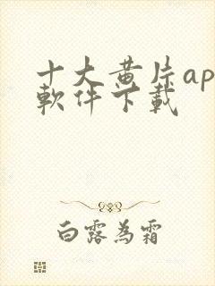 十大黄片app软件下载