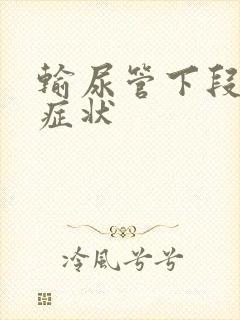 输尿管下段结石症状封面