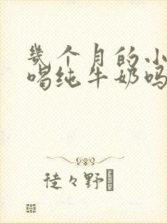 几个月的小狗能喝纯牛奶吗