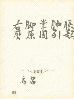 右脚掌肿胀是什么原因引起的封面