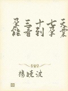 孕三十七天b超能看到孕囊吗