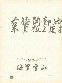 右膝关节内外侧半月板2度损伤怎么治疗