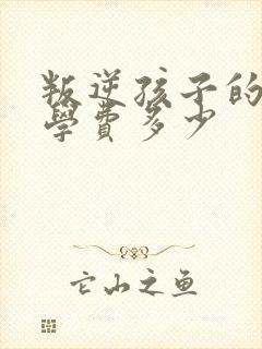 叛逆孩子的学校学费多少