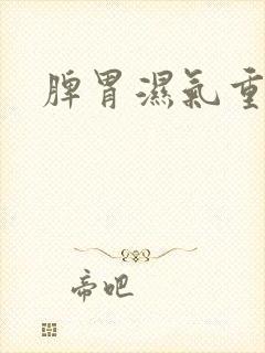 脾胃湿气重调理