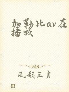 加勒比av在线播放